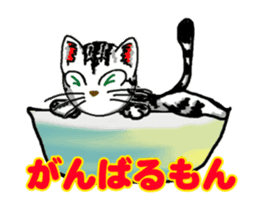 Moving American Shorthair sticker #13417098