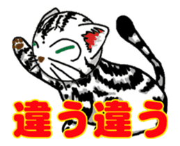 Moving American Shorthair sticker #13417099