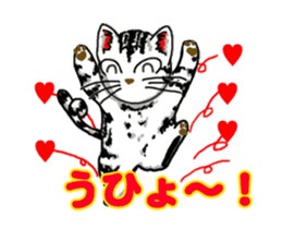 Moving American Shorthair sticker #13417100