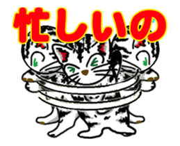 Moving American Shorthair sticker #13417102