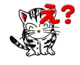 Moving American Shorthair sticker #13417104