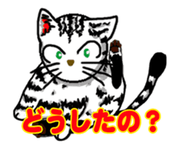 Moving American Shorthair sticker #13417107