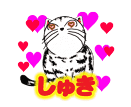 Moving American Shorthair sticker #13417108