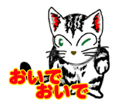 Moving American Shorthair sticker #13417109