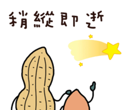 Peanut brother to be obedient 2 sticker #13417277