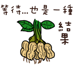 Peanut brother to be obedient 2 sticker #13417281