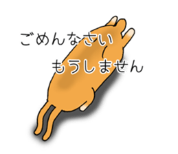 Rabbit copy-chan sticker #13418239