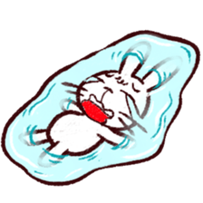 naughty rabbite 'Popo' sticker #13419390