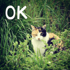 D's Photo Sticker sticker #13419617