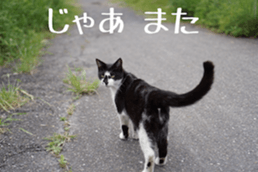 D's Photo Sticker sticker #13419619