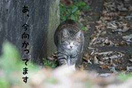 D's Photo Sticker sticker #13419620