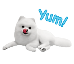 Power Pomeranian sticker #13419744