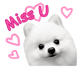 Power Pomeranian sticker #13419748