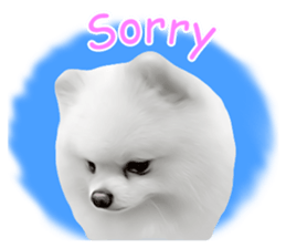 Power Pomeranian sticker #13419750