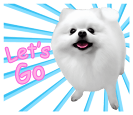 Power Pomeranian sticker #13419753