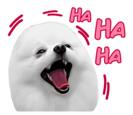 Power Pomeranian sticker #13419754