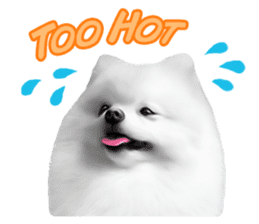 Power Pomeranian sticker #13419757