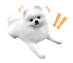 Power Pomeranian sticker #13419762
