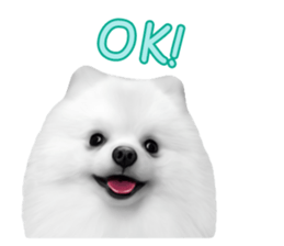 Power Pomeranian sticker #13419764