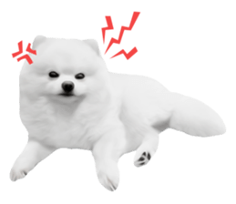 Power Pomeranian sticker #13419766