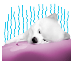 Power Pomeranian sticker #13419775