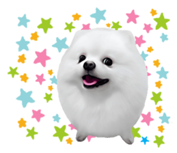 Power Pomeranian sticker #13419781