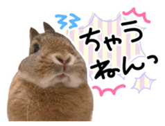 Usao of Rabbit! Stickers sticker #13420727