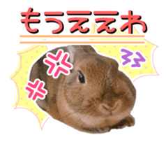 Usao of Rabbit! Stickers sticker #13420729