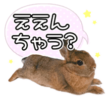 Usao of Rabbit! Stickers sticker #13420730