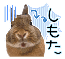 Usao of Rabbit! Stickers sticker #13420736
