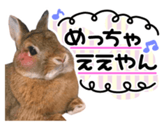 Usao of Rabbit! Stickers sticker #13420738