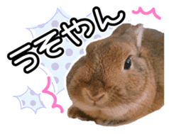 Usao of Rabbit! Stickers sticker #13420739