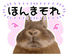 Usao of Rabbit! Stickers sticker #13420740