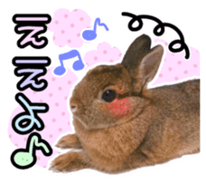 Usao of Rabbit! Stickers sticker #13420742