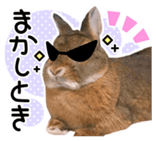 Usao of Rabbit! Stickers sticker #13420744