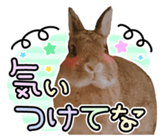 Usao of Rabbit! Stickers sticker #13420745