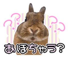 Usao of Rabbit! Stickers sticker #13420747