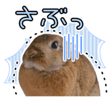 Usao of Rabbit! Stickers sticker #13420749