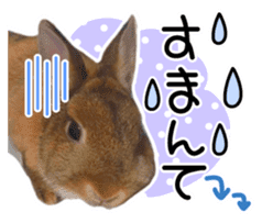 Usao of Rabbit! Stickers sticker #13420752