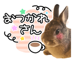 Usao of Rabbit! Stickers sticker #13420755