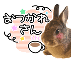 Usao of Rabbit! Stickers sticker #13420755