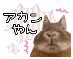 Usao of Rabbit! Stickers sticker #13420756