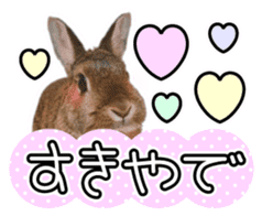 Usao of Rabbit! Stickers sticker #13420757