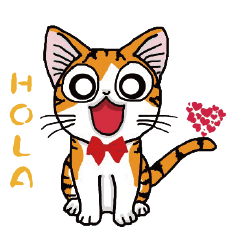 Hola cat