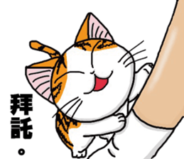 Hola cat sticker #13420904