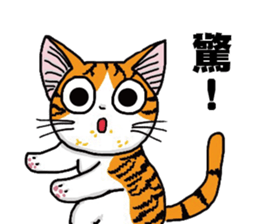 Hola cat sticker #13420906