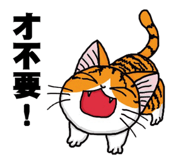 Hola cat sticker #13420908