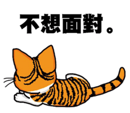 Hola cat sticker #13420909