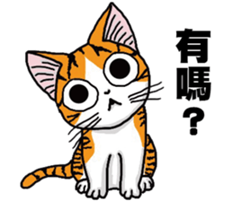 Hola cat sticker #13420910