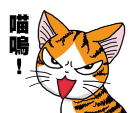 Hola cat sticker #13420911